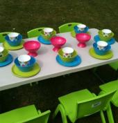 Kids Party Hire Mount Albert (1025) Event Managers 2_small