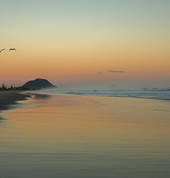 We have a library of local scenes