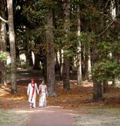 Indian Weddings Auckland - PHOTOGRAPHY | VIDEO | DJ | SOUNDS | LIGHTING Auckland Central (1010) Photographers 7_small