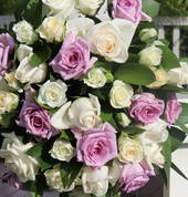 Making It Happen - Auckland Wedding Planner Auckland Central (1010) Planners 1_small