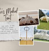 Sleeping Beauties Winton (9720) Kids Party Equipment Hire 6_small