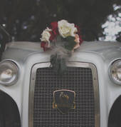 Mandeno Gardens Pukekohe (2120) Party Venues 1_small