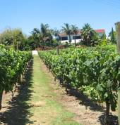 Mandeno Gardens Pukekohe (2120) Party Venues 8_small