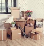 ICON CLEAN - Professional Cleaning Services Papatoetoe (2025) Cleaners & Cleaning Services 1_small