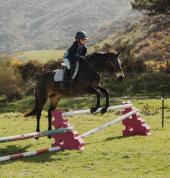 Littleriver Equestrian Wellington (6021) Horse & Pony Riding Venues 1_small