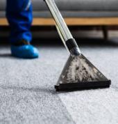 Amazing Carpet Cleaning Wigram (8042) Cleaners & Cleaning Services 3_small