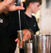 Professional Mixologists